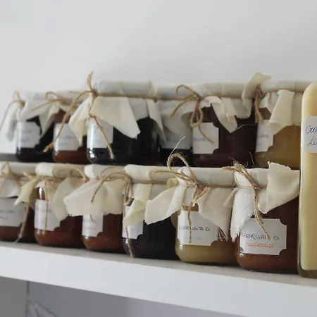 Oasi Al Mare Bed & Breakfast