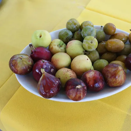 Oasi Al Mare Bed & Breakfast Agropoli