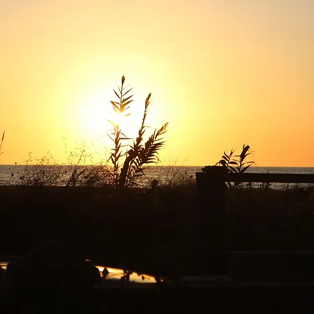 Oasi Al Mare Bed & Breakfast