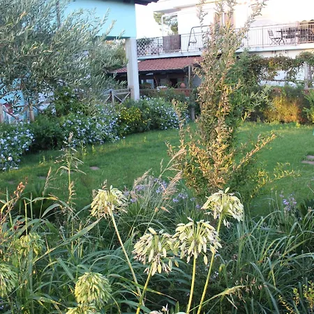 Bed & Breakfast Oasi Al Mare 4*