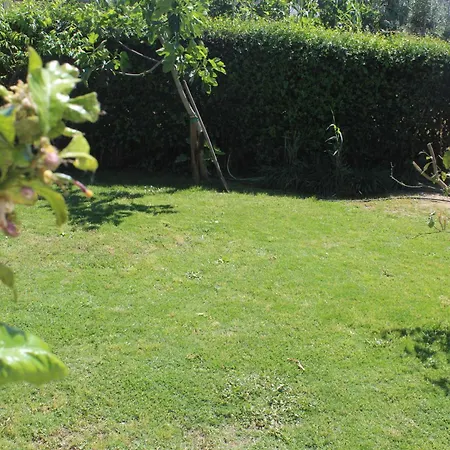 Oasi Al Mare Bed & Breakfast Agropoli