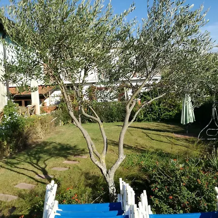 Bed & Breakfast Oasi Al Mare 4*