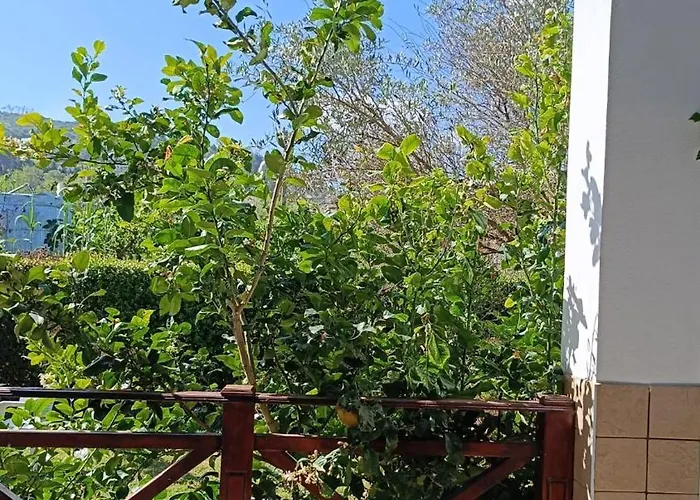 Oasi Al Mare Alojamento de Acomodação e Pequeno-almoço