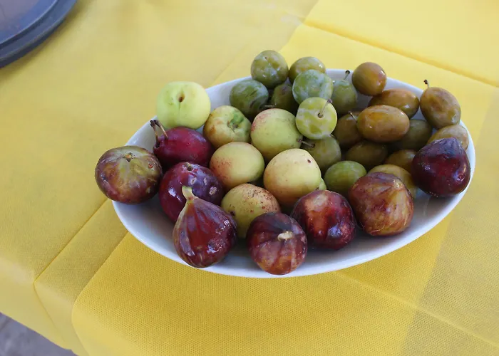 Oasi Al Mare Nocleg ze śniadaniem Agropoli