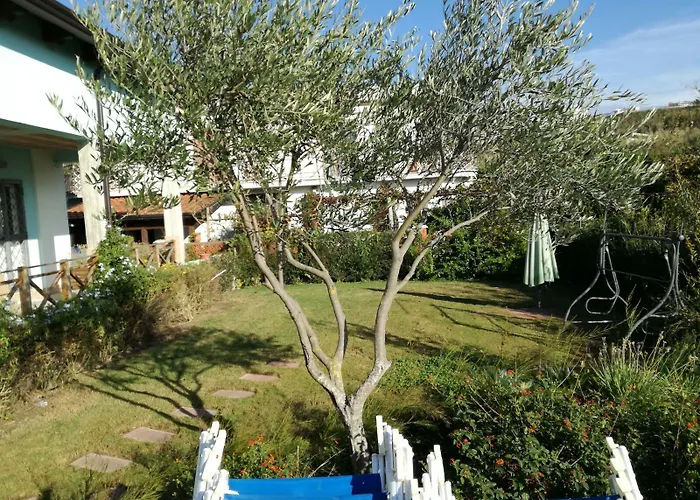Nocleg ze śniadaniem Oasi Al Mare 4*