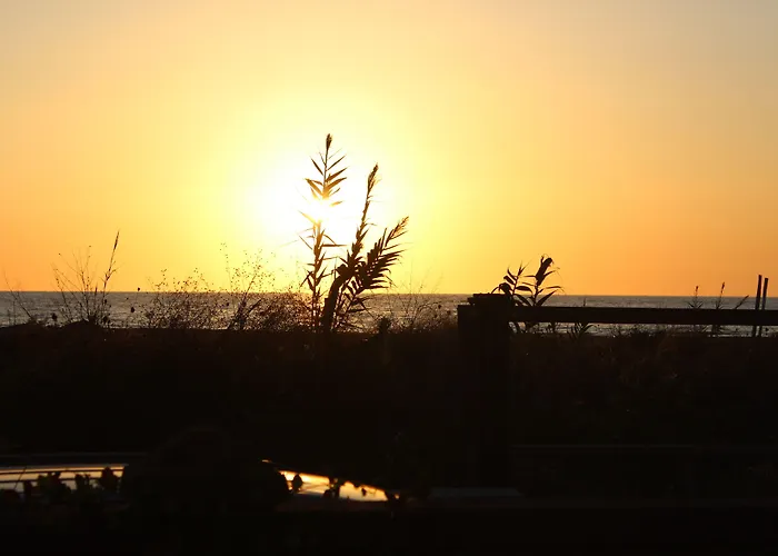 Oasi Al Mare Alojamento de Acomodação e Pequeno-almoço